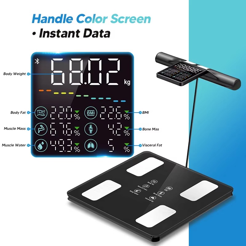 Nuova bilancia intelligente pe - Home Gym Body Solid recensione e prezzo